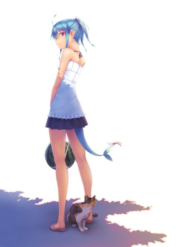  ,  ,    ,      .       ,       